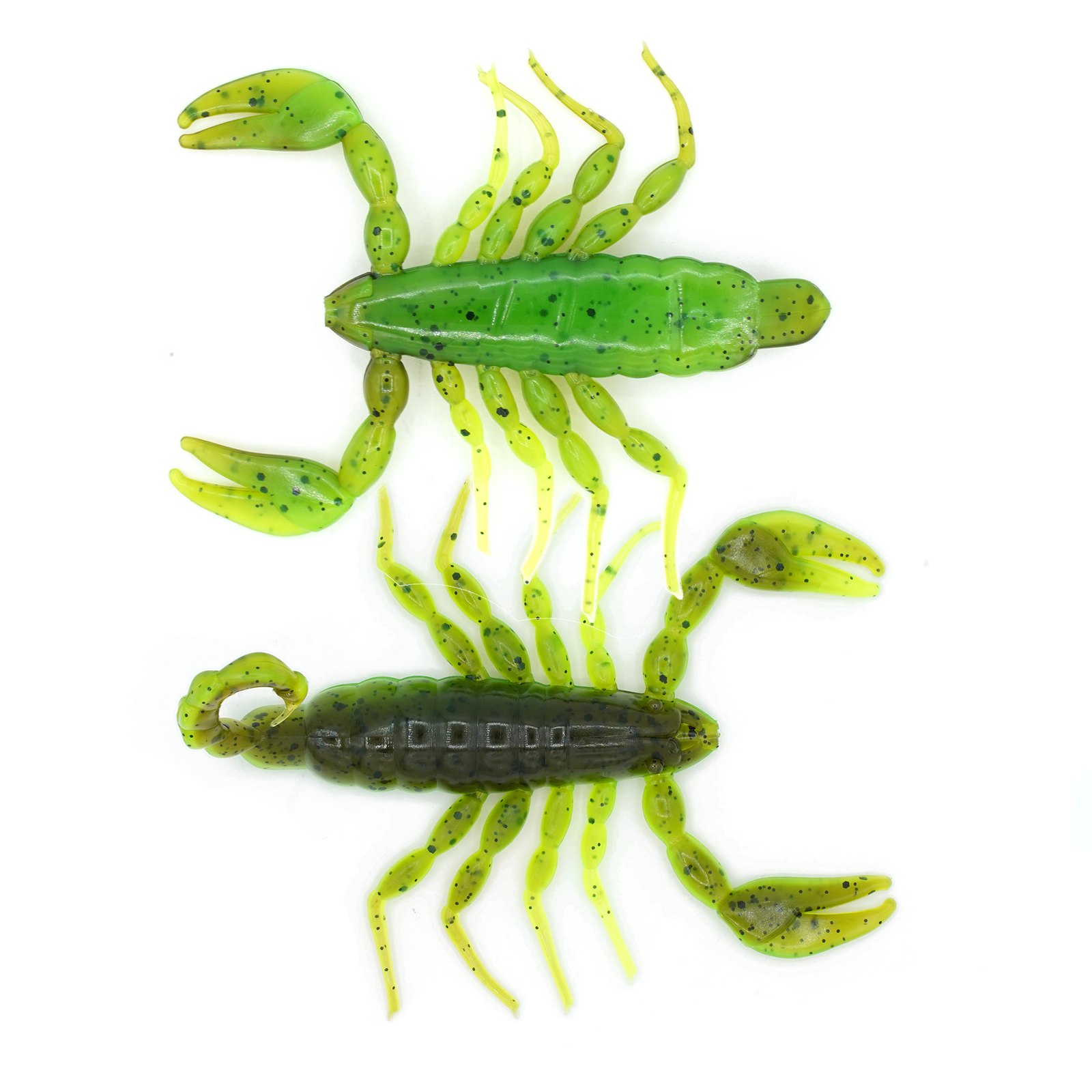 FRESH Scorpion - Summer Bug