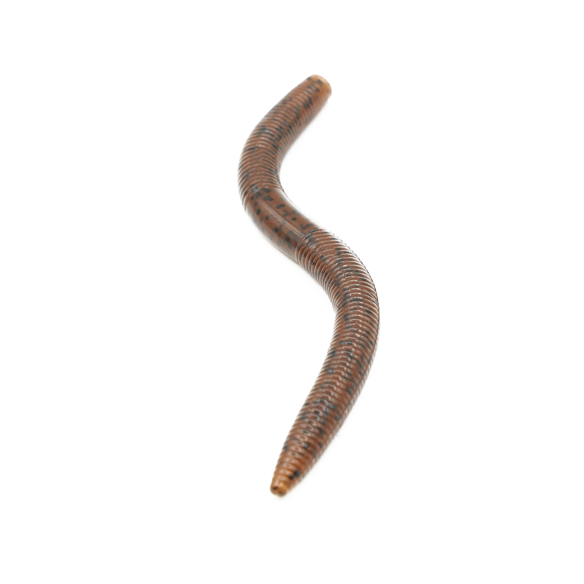 Worm - Brown