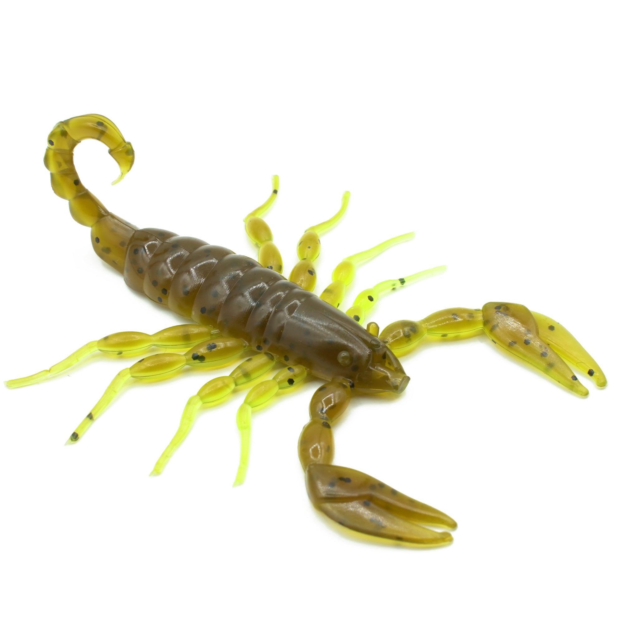 FRESH Scorpion - Summer Bug