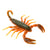 Green and orange soft plastic scorpion bait used for fishing. Fresh baitz alabama scorpion