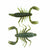 top and bottom view of green and cream white soft plastic scorpion bait used for fishing. Fresh baitz arkansas scorpion