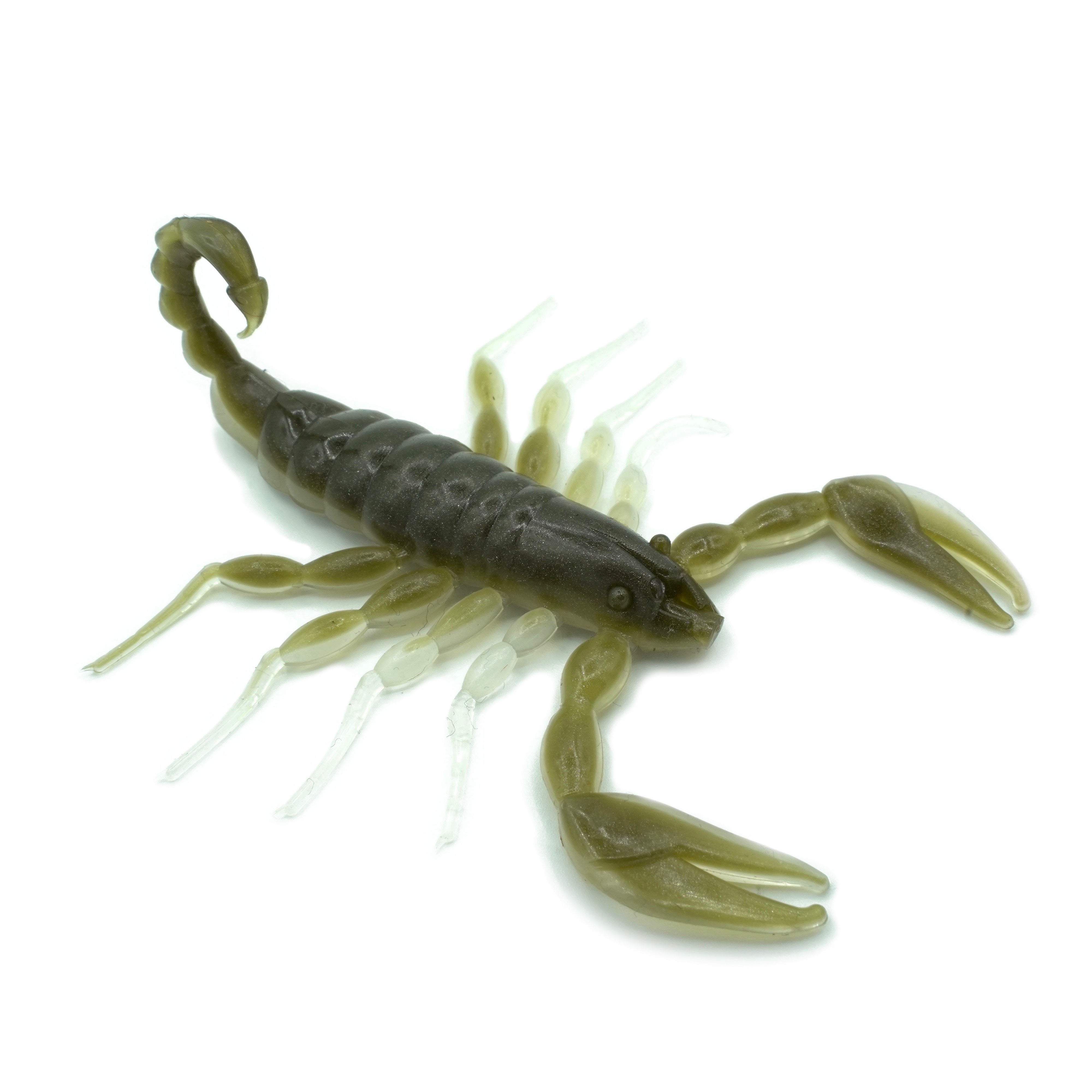 FRESH Scorpion - ARKANSAS - Freshbaitz