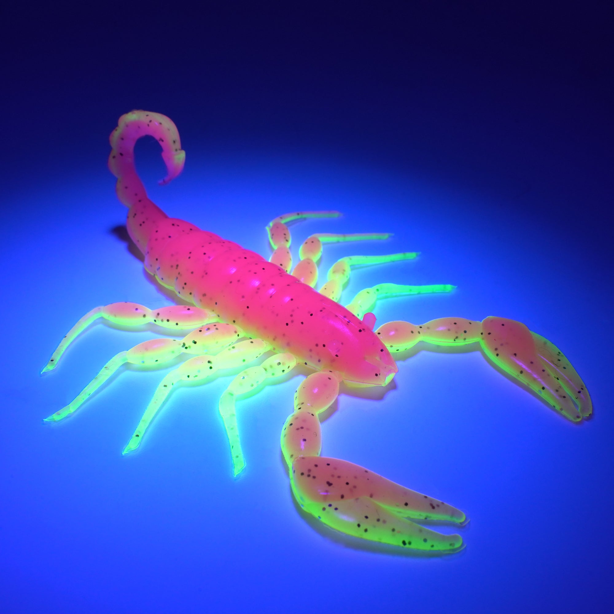 Pink and chartreuse soft plastic scorpion bait used for fishing under UV light. Fresh baitz electric chicken scorpion